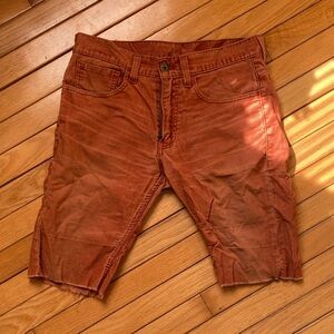 Levi's Men's Orange Jean Shorts